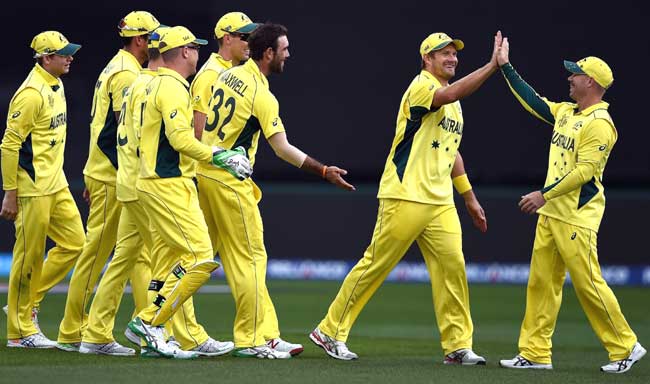 Australian cricketers congratulate teammate David Warner R after he took a catch of the bowling of Glenn Maxwell to take the wicket of Scotland batsman Richie Berrington during the 2015 Cricket World Cup Pool A match between Australia and Scotland in Hobart. Pic/AFP