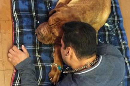 Salman Khan mourns the death of his pet dog Veer