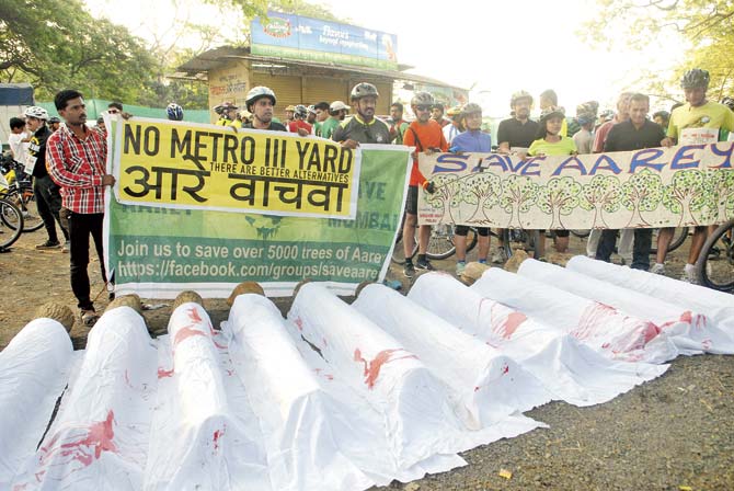 Hundreds joined the fight to save 2,298 trees in Aarey Colony that will make way for the Metro yard site. The strong opposition to the plan prompted the CM to instate a special panel to search for alternative sites for the car depot. File pic