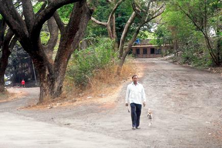 Aarey Milk Colony's tribals to march in protest for hamlets