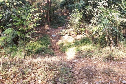 Mumbai: Auto driver abducts, rapes minor; leaves her to die in Aarey forest