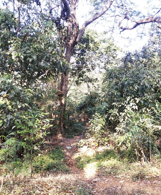 The girl was raped and left to die in the forest in Aarey Colony. She managed to make it out to the road and was found, bleeding and shivering, by a constable. File pic
