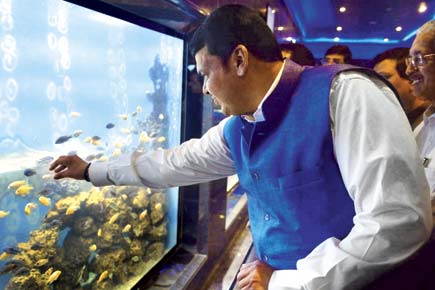 Mumbai: Free entry to aquarium spells housefull on first day, first show
