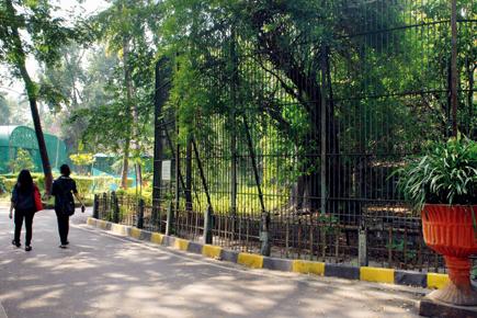 Bickering companies delay revamp of Byculla zoo