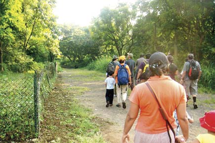 Mumbai: MMRDA to beef up Dharavi park's boundary