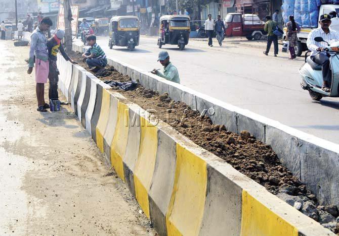 Dividers get a coat of paint on Dombivli-Kalyan Road. Pics/Sayyed Sameer Abedi