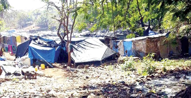 Over 50 shanties, made of bamboo and plastic, have cropped up near Durgapada in the last four months