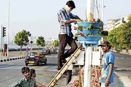 Mumbai: Queen's Necklace will now be adorned with flowers
