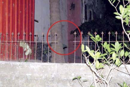 Mumbai: Wall spikes pierce man's body, he lives to tell tale