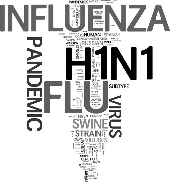 Swine flu, H1N1 virus