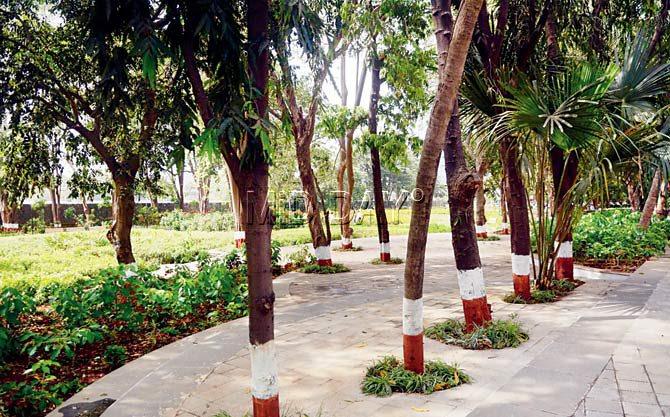Now open: The 10-acre Pramod Mahajan garden has over 1 lakh trees from 350 different species. In addition, there are 140 species of flowering and non-flowering shrubs.  Pics/Bipin Kokate