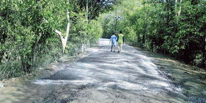 The project will map areas such as the city’s green lung Aarey Colony, which was under the threat of destruction due to plans of extensive development in DP 2034. File pic