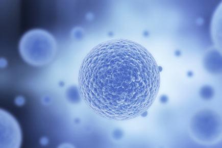 How stem cells get their identity