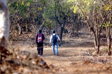 Pucca structure crops up inside Mumbai's SGNP; residents question officials