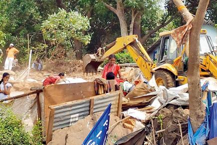 Mumbai: Illegal shanties at Aarey Colony demolished