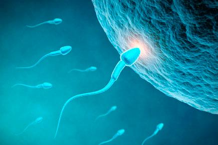 First part of semen most effective for conception