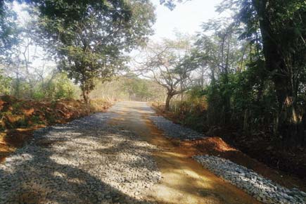 Mumbai: Soon, kids in Aarey Milk Colony won't have to take the dangerous road
