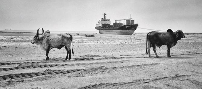 An image from the collection depicting the Darukhana Ship Breaking Yard