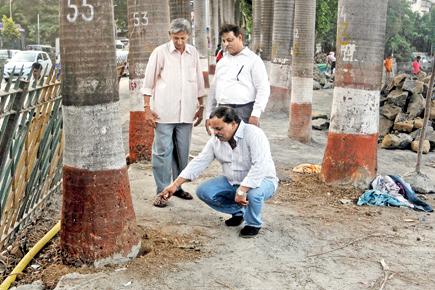 Mumbai: Activists tackle concrete issue in Bandra talao beautification