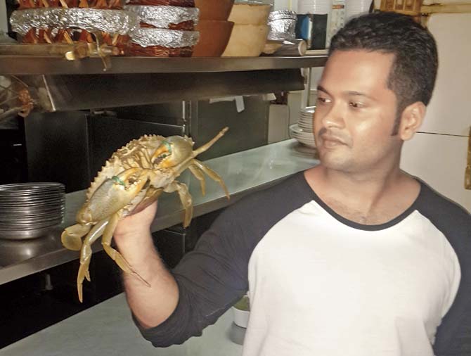 Gaurish Rangnekar, partner, Ankur The Coastal Bistro prefers to show the customers the actual size of the prawns, crab and fish before they place an order