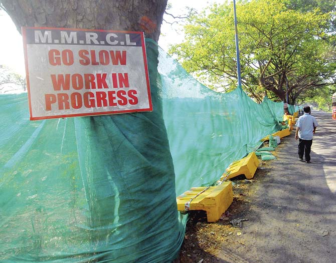 After citizens began to protest against the Metro car shed being built in Aarey colony, the Metro authorities cordoned off the area with a green screen. The CM instructed officials to hold off from felling trees or carrying out construction work till the committee presents its findings. File pic