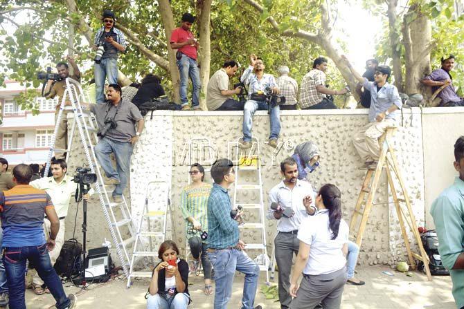 Photographers get a leg up via ladders. Pic/Pradeep Dhivar