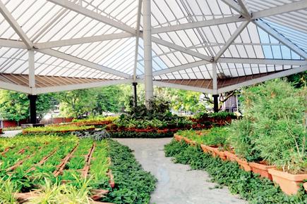 Mumbai: BMC to finally open Pramod Mahajan Garden at Dadar