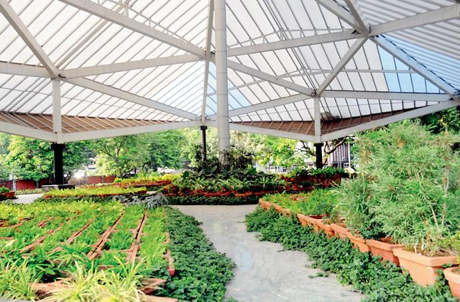 Pramod Mahajan Garden