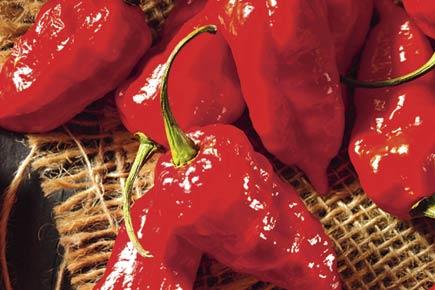 Get India's spiciest chili - Bhut Jolokia in a bottle