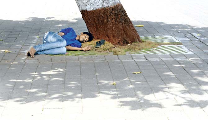 A man takes refuge from the summer heat under the shade of a tree in Mumbai. Plant more trees is what we should do, but then how will we have so many lovely air-conditioned malls? Don’t go out in the sun is the other bit of advice freely given, but how do you manage that when you’re a daily wage labourer? Representation Pic/AFP