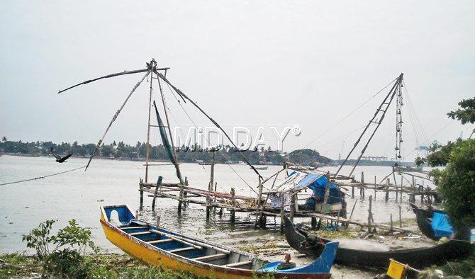 The world famous Chinese fishing nets positioned by the Fort Kochi coast are a major tourist attraction.