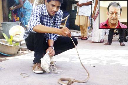 Cobra found near Sanjay Dutt's cell in Yerawada jail
