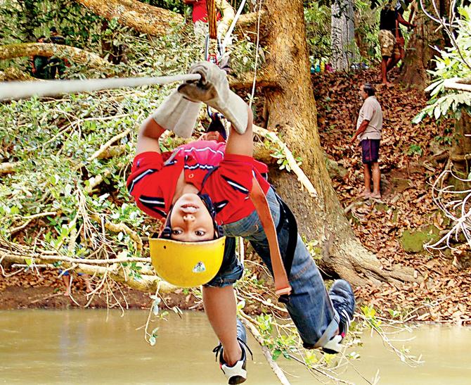 Monkey Crawling with at Wayanad. Pic s courtesy/Muddy boots