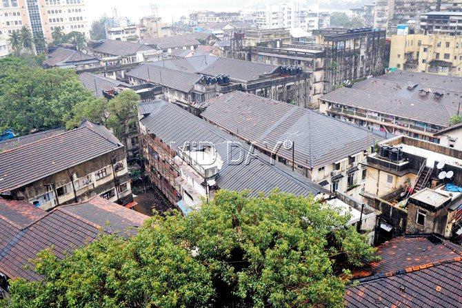 In the pugree system, a tenant is not the complete owner of a flat and a part share of the flat belongs to the landlord. An aerial view of Gaiwadi in South Mumbai. File pic