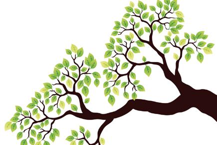 Saying goodbye to trees