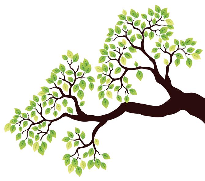 Trees