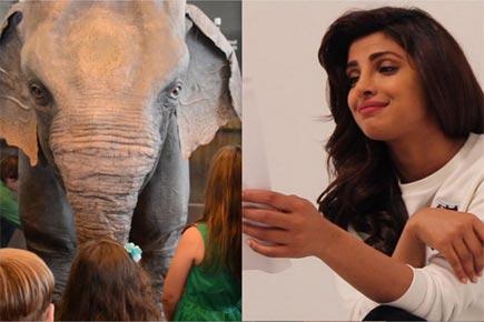 Priyanka Chopra teams with PETA to voice robotic elephant