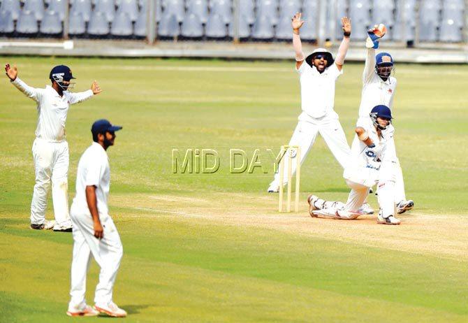 Mumbai players make an unsuccessful lbw appeal against Uttar Pradesh