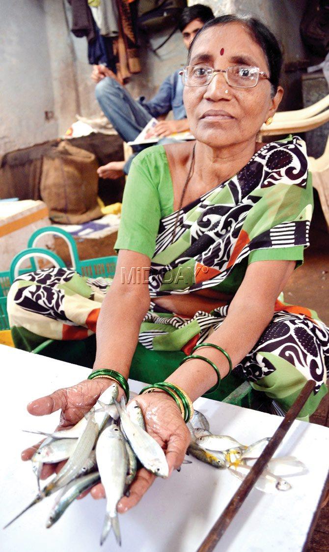 Leela Koli at Lalbaug fishmarket with her sardine catch of the day and (above right) three small piles are sold for Rs 50. Compare that to the pomfret sold at Rs 300 each. Pics/Datta Kumbhar