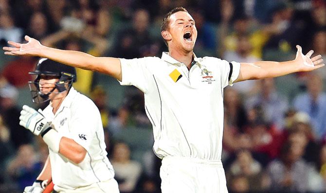 Australia pacer Josh Hazlewood celebrates the wicket of New Zealand