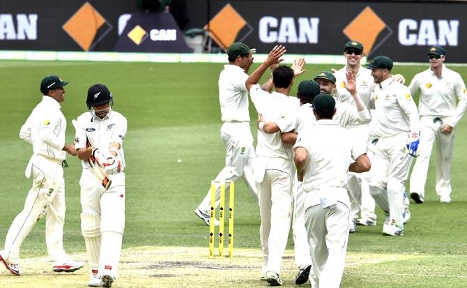 Australia players celebrate their victory as New Zealand