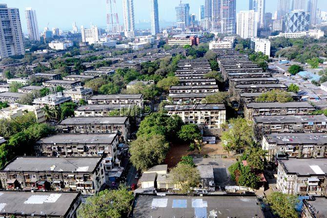 Awaiting resurrection: Aerial view of BDD chawls near Jambori Maidan, Worli. Spread across 92 acres, almost all the buildings are 100-years-old and dilapidated. Pic/Bipin Kokate