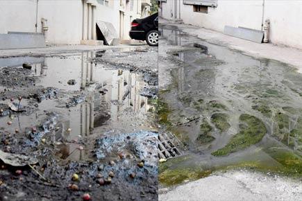 Liberty owner, neurologist squabble over puddle in theatre's parking lot