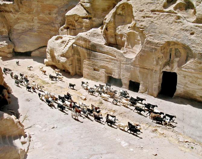 Petra Archaeological Site, Wadi Mousa, Jordan