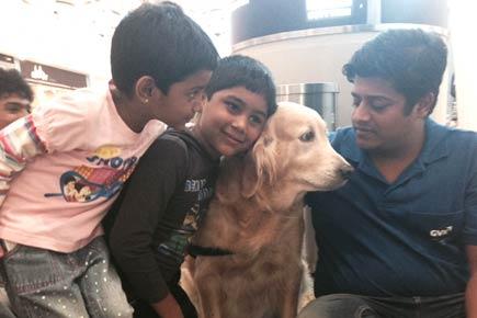 mid-day's first-person experience with the three canines at Mumbai's T2
