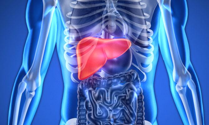 liver therapy