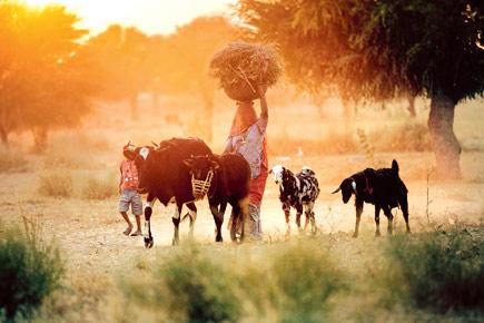 When rural India becomes family