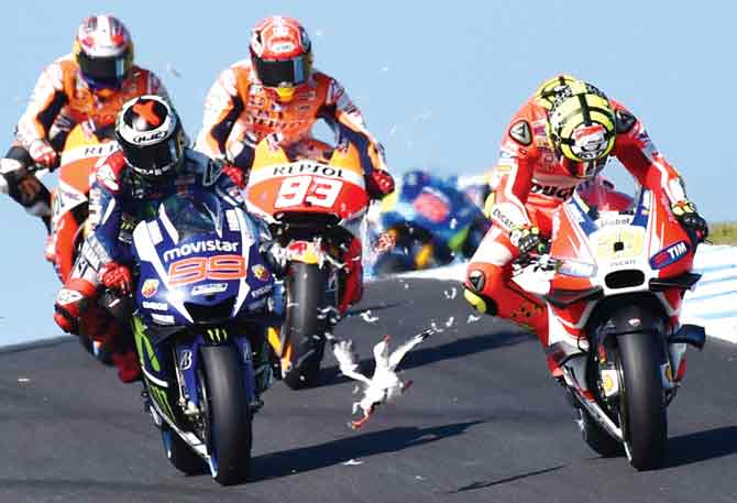 A seagull flies in front of Repsol Honda