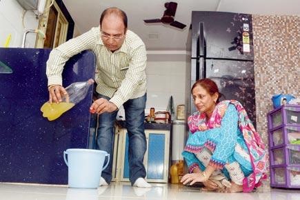 Use cow urine to clean hospitals, urges Mumbai corporator