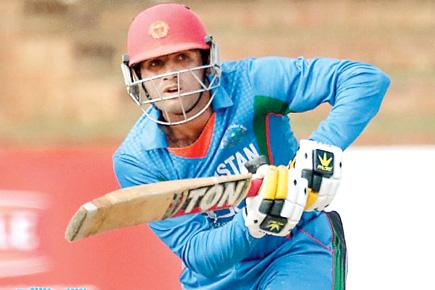 After ODIs, Afghanistan now seal historic T20 series win over Zimbabwe
